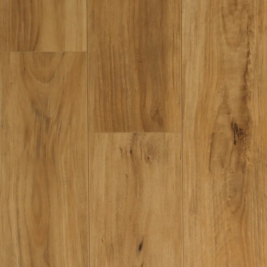 Swish Laminate Aqua range preview in Blackbutt Aqua