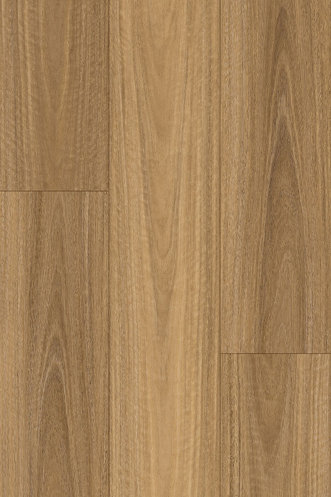 Swish laminate flooring range preview in NSW Spotted Gum